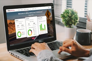 Abley SafeCurves Professional homescreen