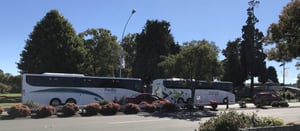 Buses in line in Taupo