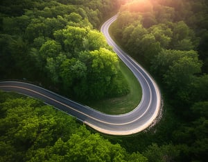 Firefly curved road in virginia 12147