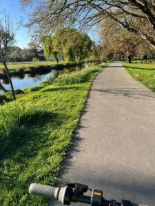 Biking through Hagley Park