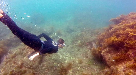 Auckland snorkelling