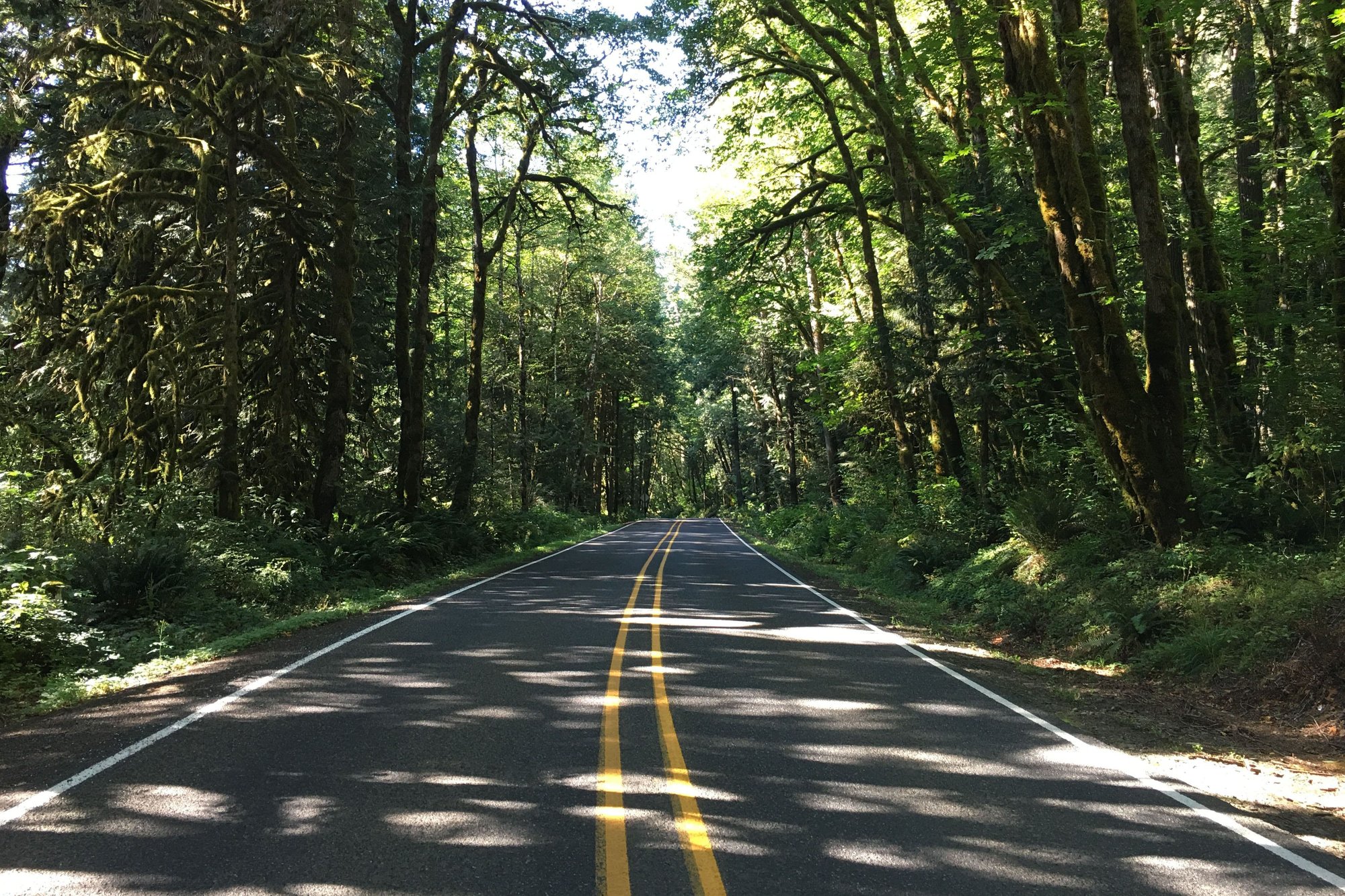 Road in Clackasmas County Oregon