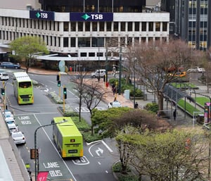 Lime coloured buses, trees and buildings.